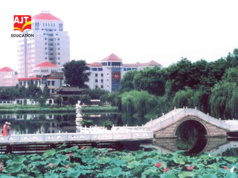 Dai-hoc-Duong-Chau2